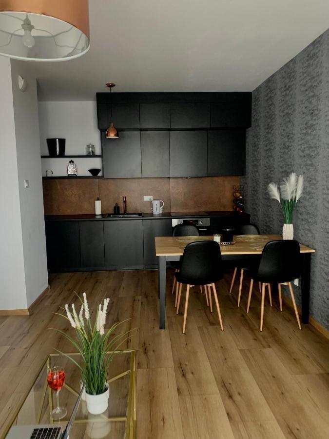 Apartment Drewnowska Przy Manufakturze Lodz (Lodz)